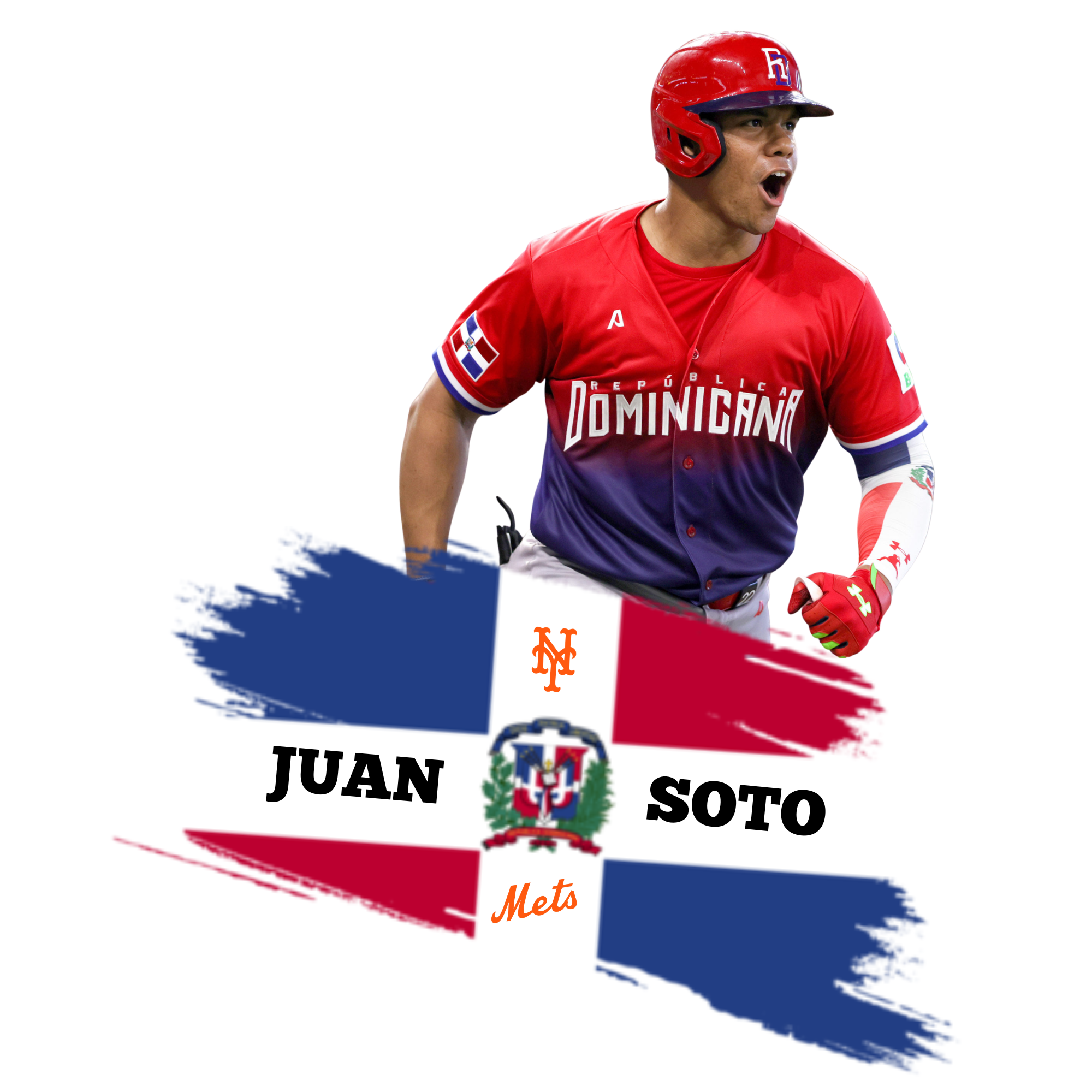 Juan Soto Red Dominican Jersey Flag