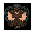 Gemini Twins