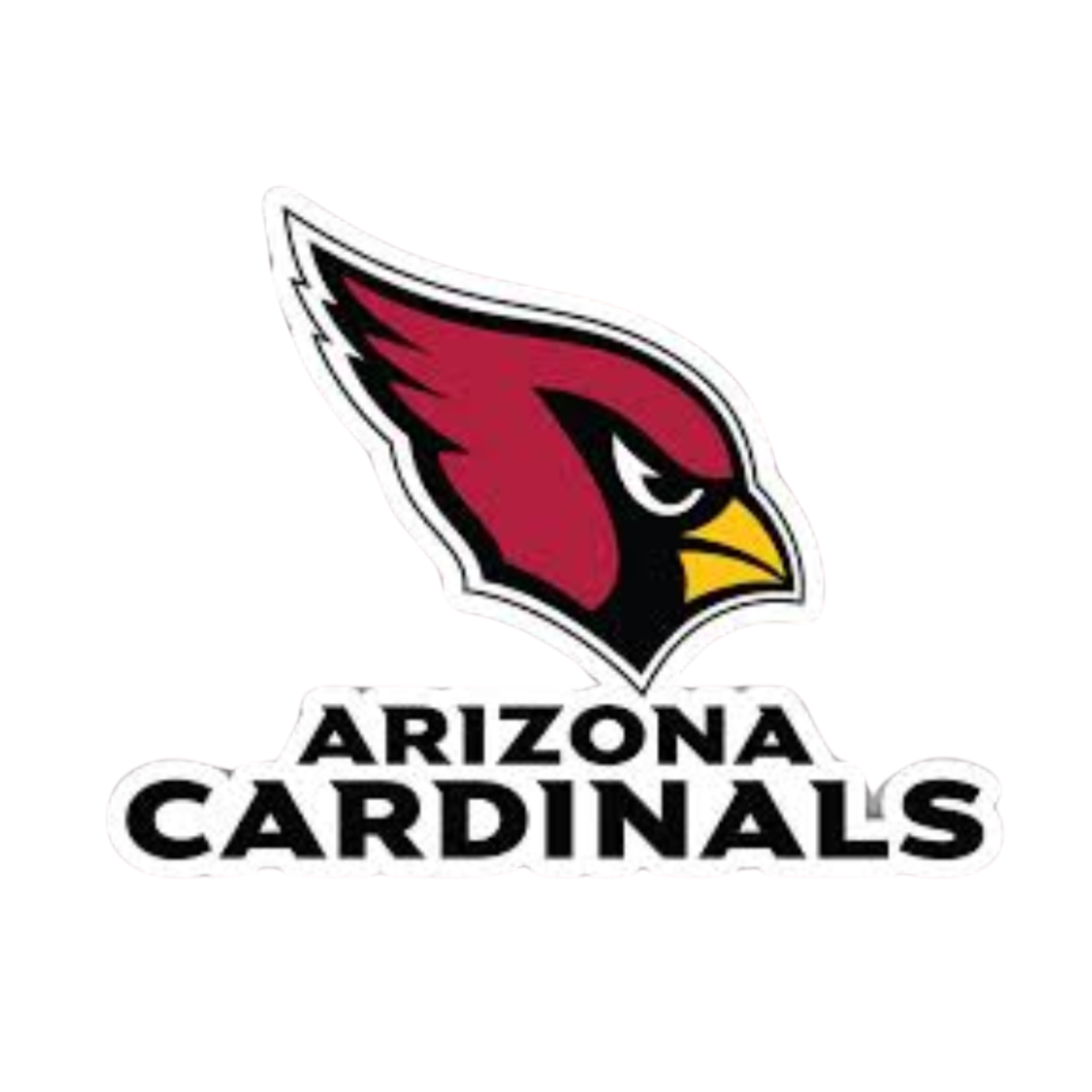 Arizona Cardinals State Bundle