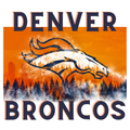 Denver Broncos Landscape Bundle
